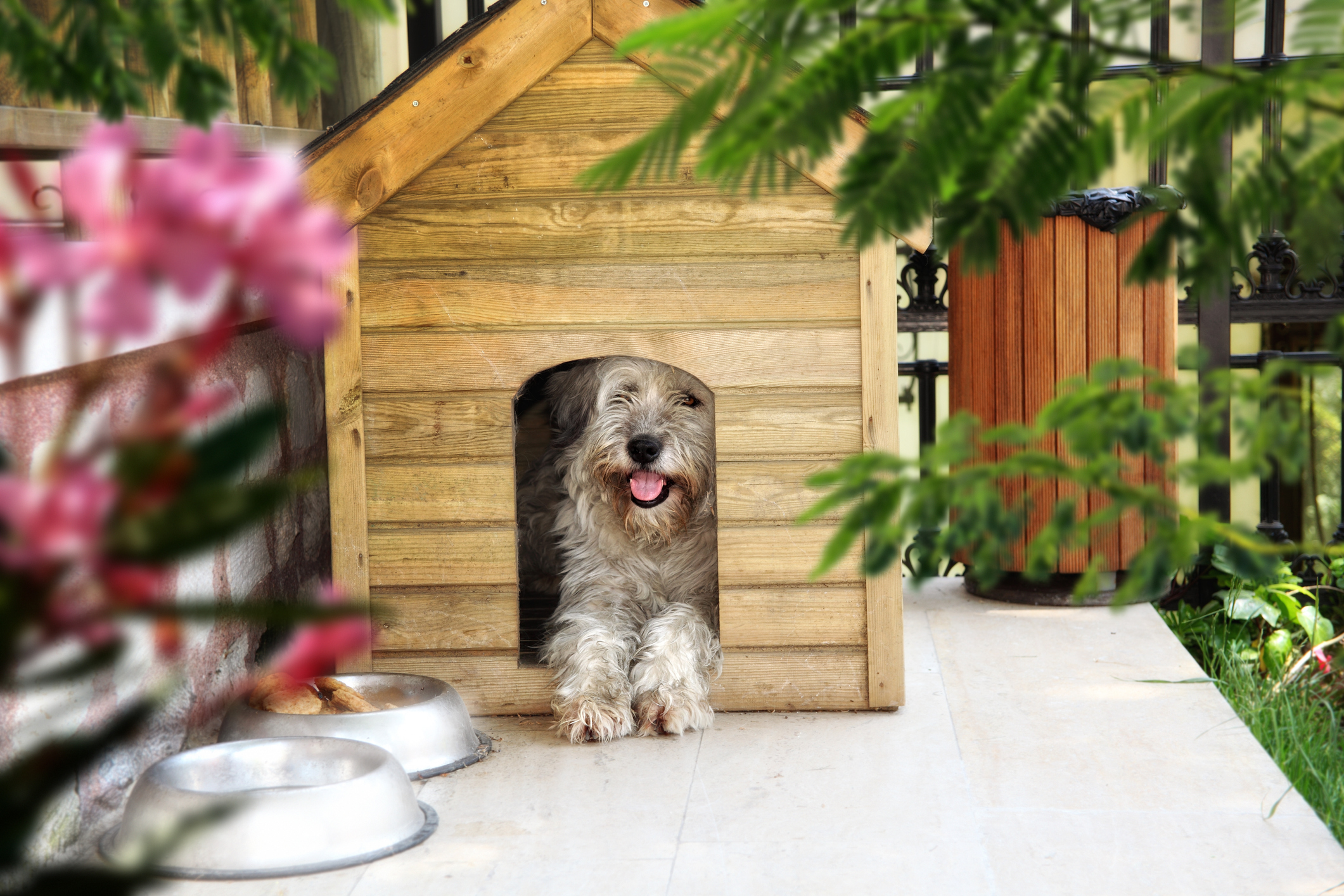 How to Make a Dog Kennel More Appealing